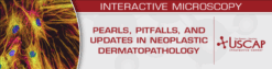 USCAP Pearls, Pitfalls, and Updates in Neoplastic Dermatopathology 2025