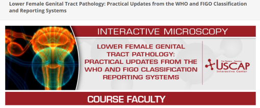 USCAP Lower Female Genital Tract Pathology: Practical Updates from the WHO and FIGO Classification and Reporting Systems 2025
